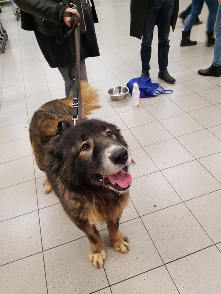 82711130 1028919807473797 1674418671365128192 n