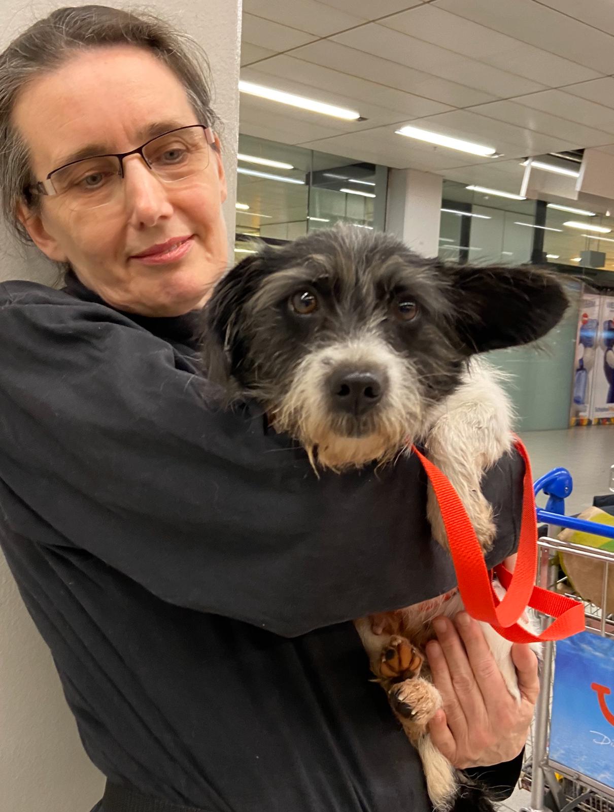 82957479 3203043529723656 8317032919767973888 o