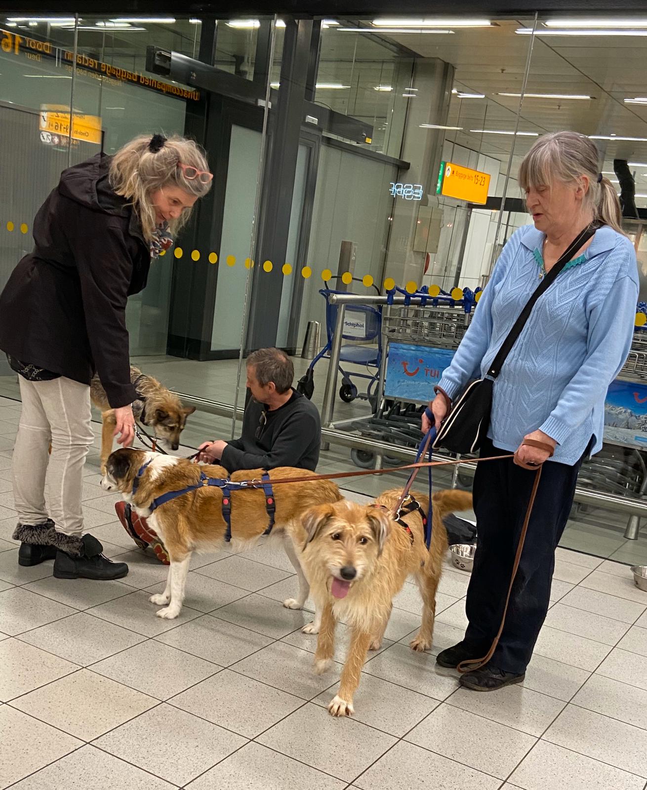 83196456 3203043879723621 5422104140538970112 o