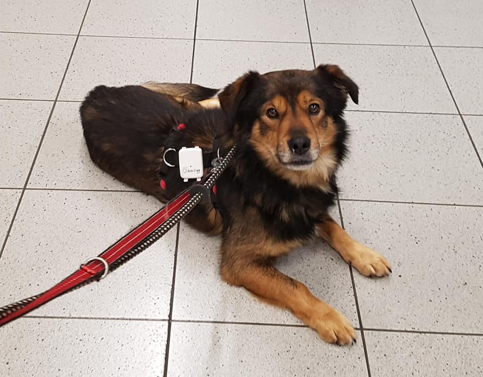 83378949 1028917814140663 6877295869956194304 n