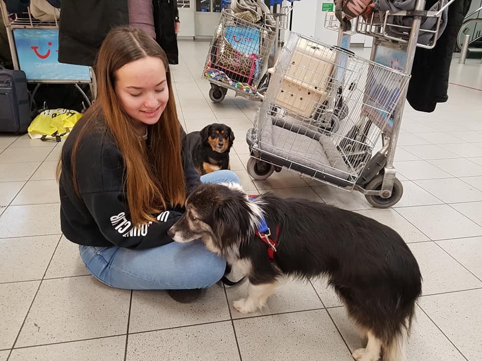 83799815 1028918957473882 6710679970986852352 n