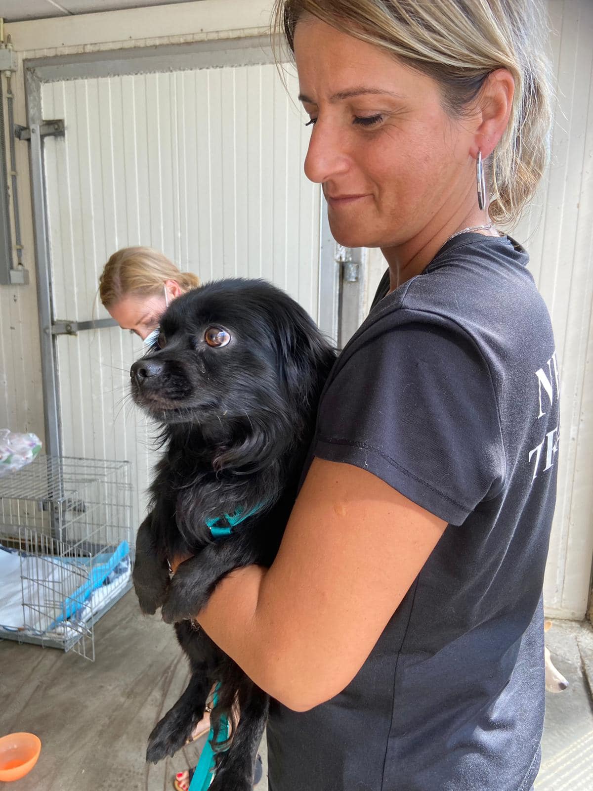 196845052 4630915050269823 6013157515682643271 n