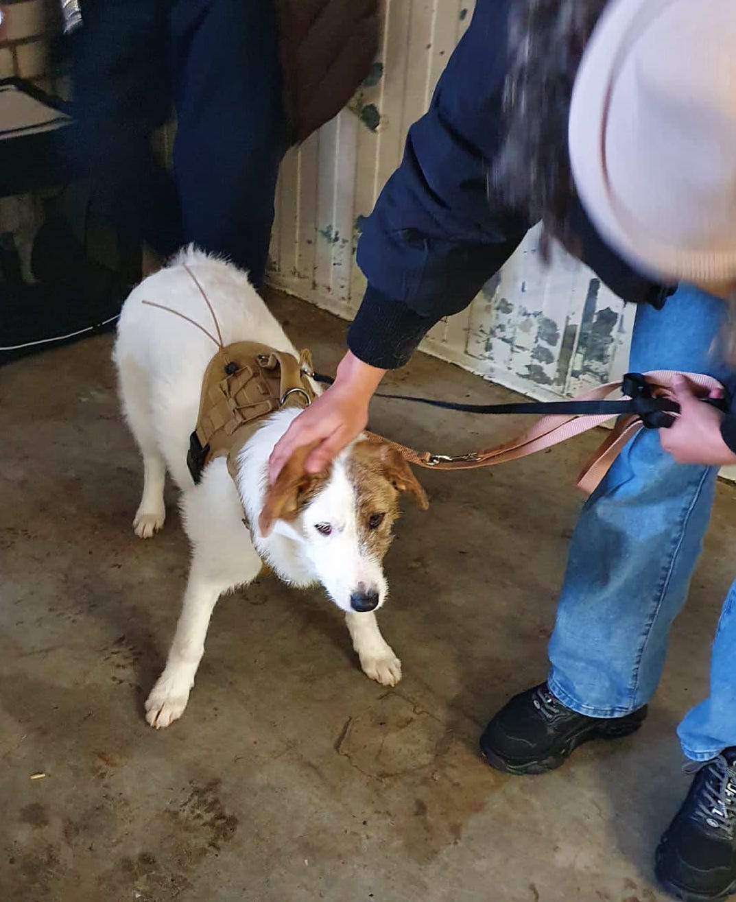 d59d0639 bc76 4194 94a1 adda3035648e