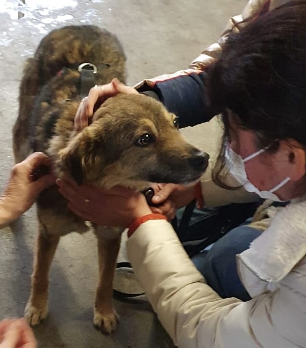 thumbnail 24582cd0 640b 47c5 874a ef7d0fc90fac