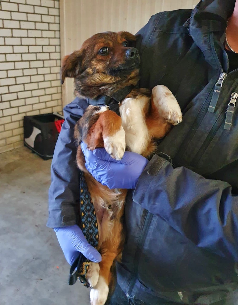 thumbnail 38ea6ddd 1978 4ec6 a2e3 8229c7ad769a