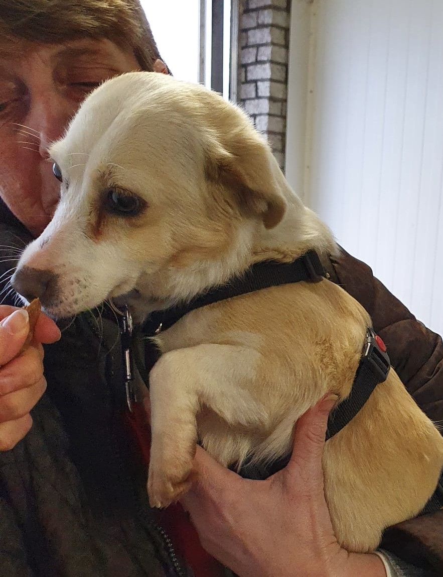 thumbnail 96e0785a b25e 4889 aa88 42420039e10c