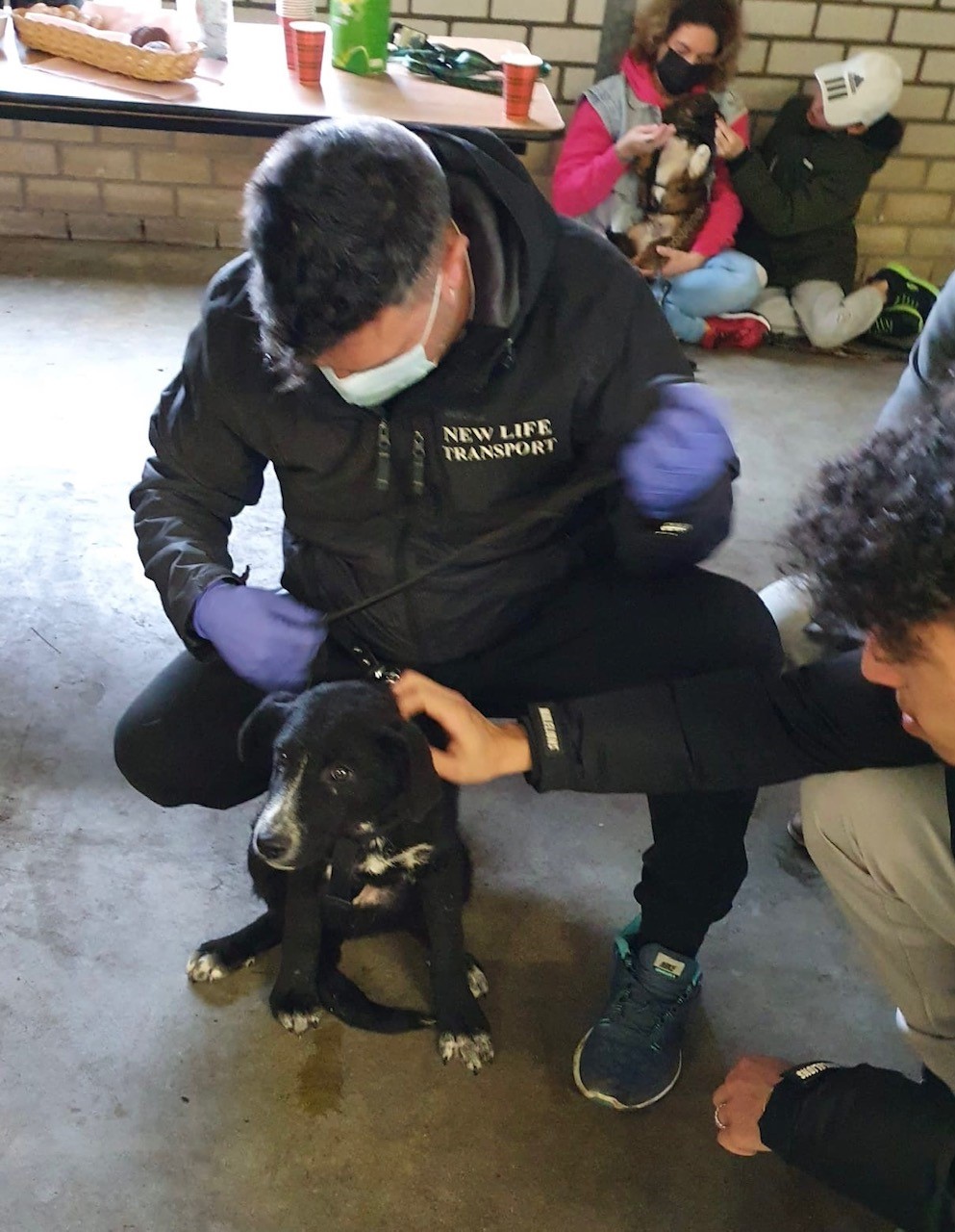 thumbnail a97e6fe1 b3a8 4f17 8ffc 051072f6a532