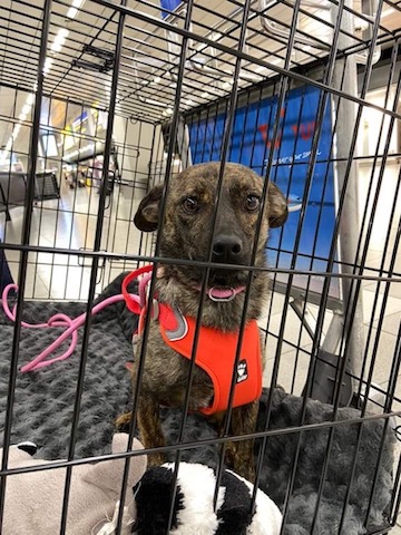 00d692d2 4439 4991 a76c 4665b921d979