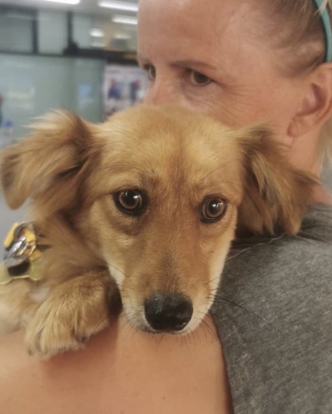 0b0bb886 95f8 49dd a6f7 3b75429148cb