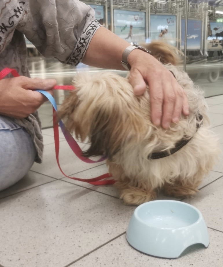 1b4cea4b ebaa 4e67 9e94 78ececd958df