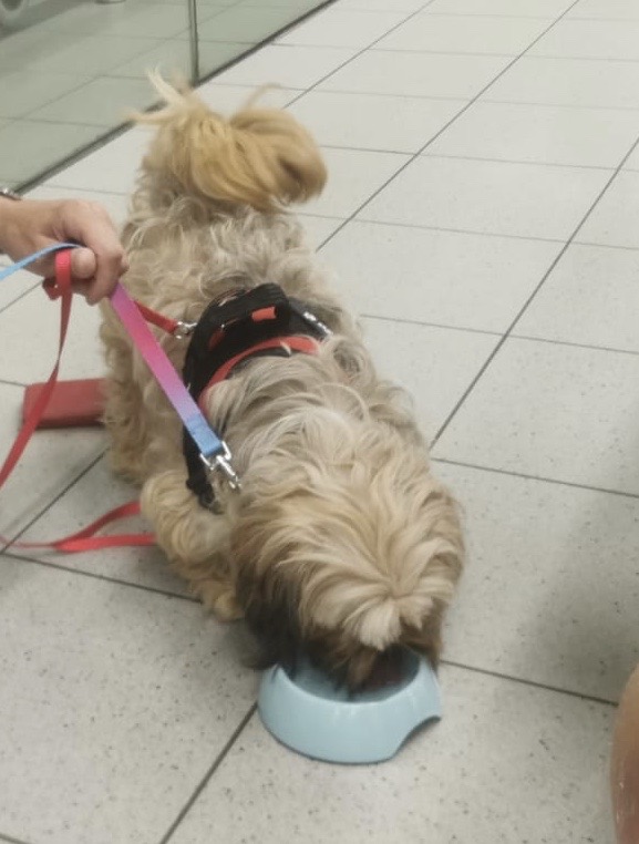 98666efb f75e 4918 9c3c aada75ebe42b