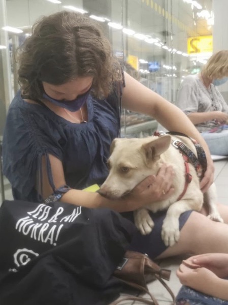 eb1ca40a bf54 456f 925a 58ba73ffd3d3