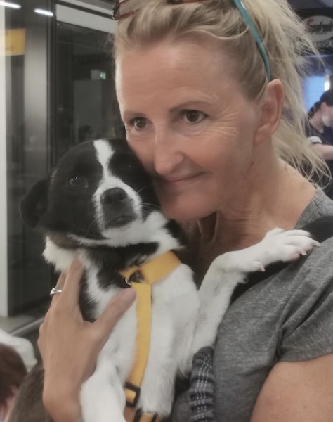 f1aca195 140b 4f94 86ea c16dfb8c0318