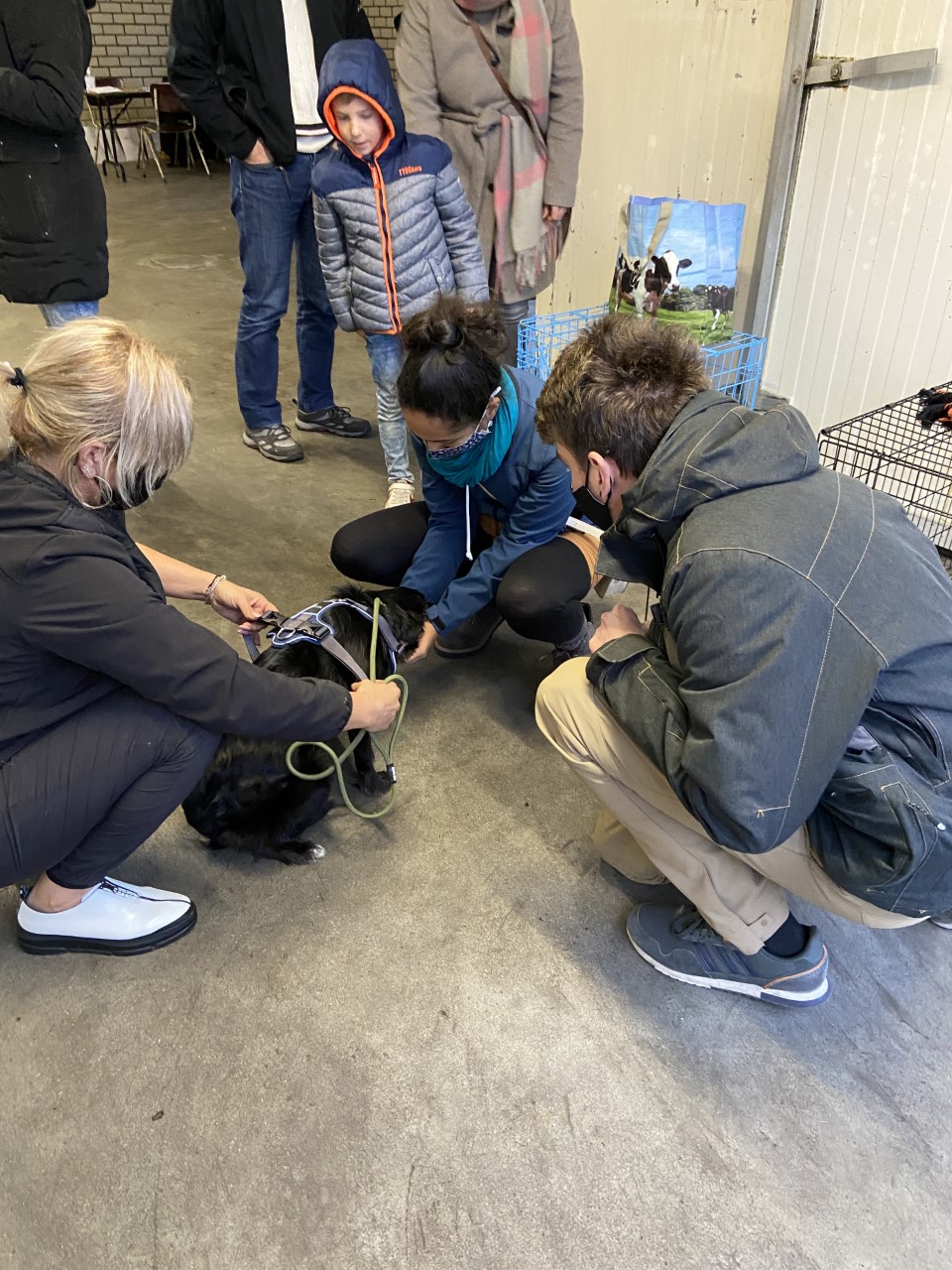 thumbnail IMG 0431 1