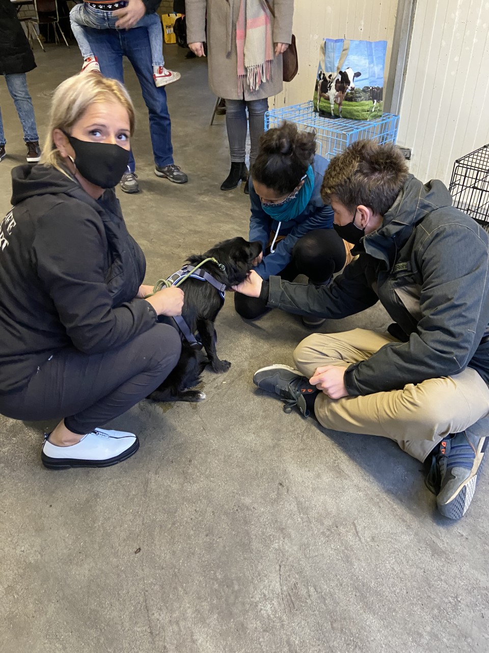 thumbnail IMG 0432 1