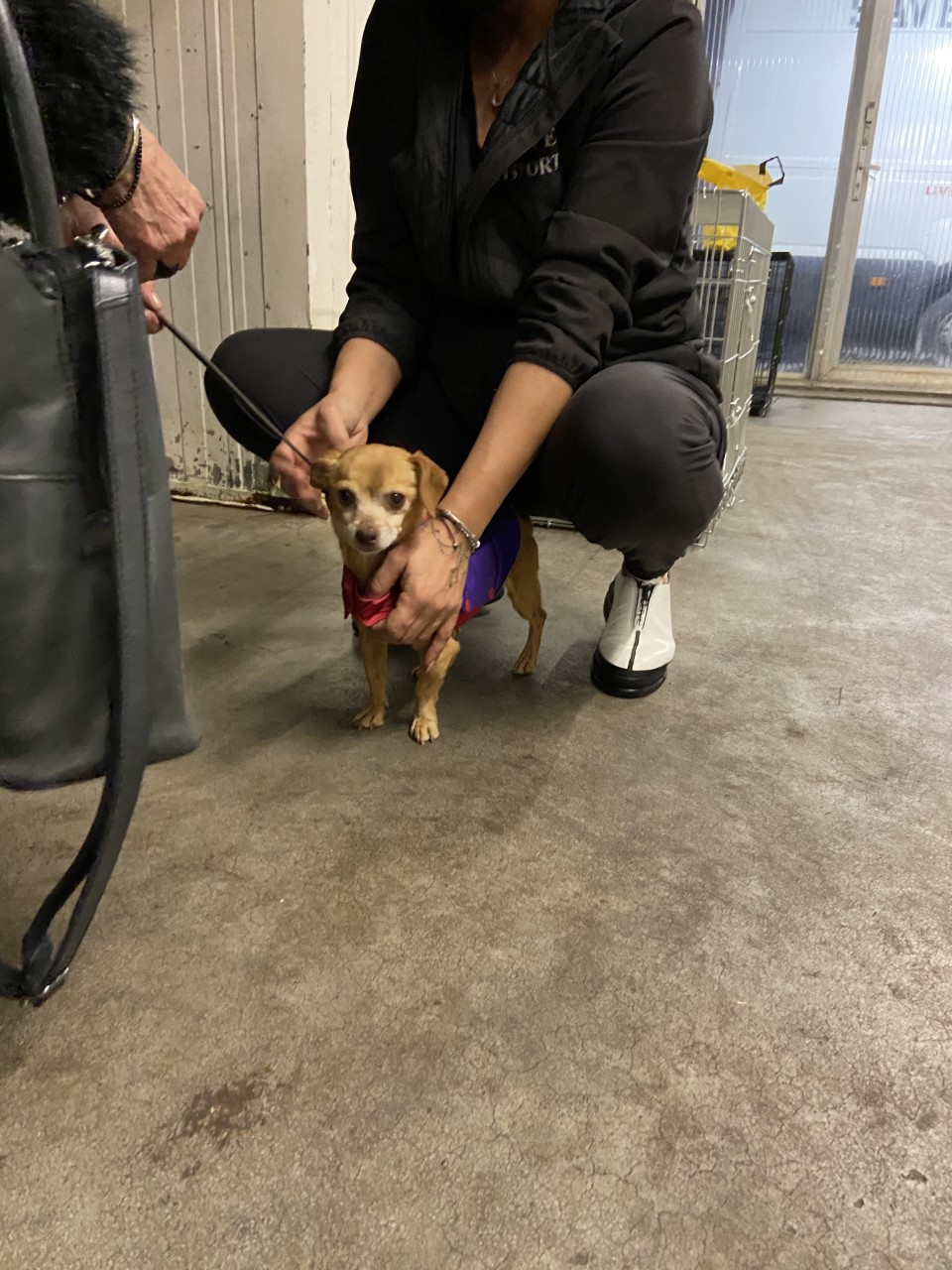 thumbnail IMG 0479 1