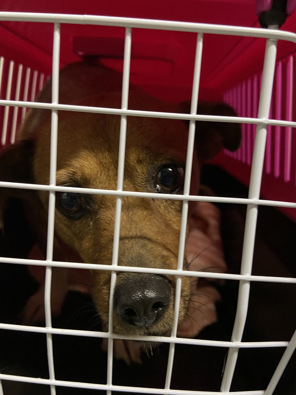 thumbnail IMG 0642 1