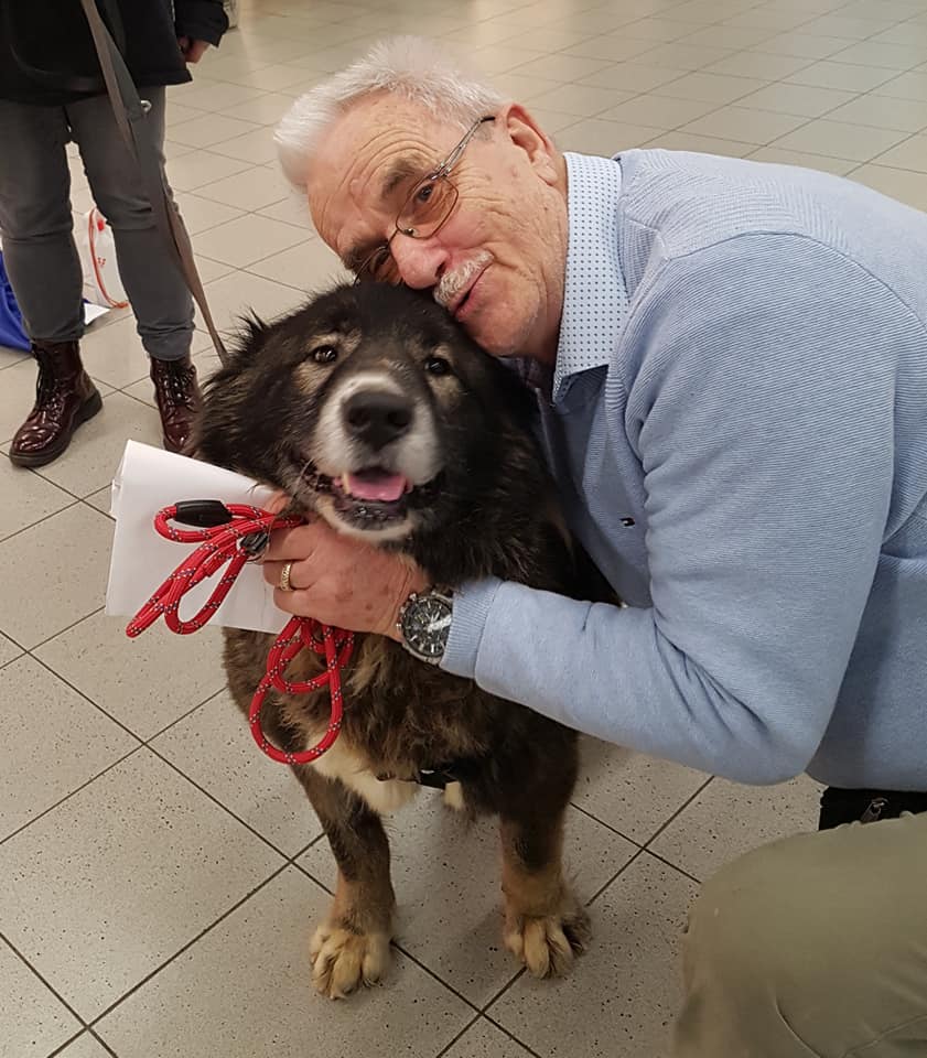 82646583 1028919887473789 2315912757607661568 n