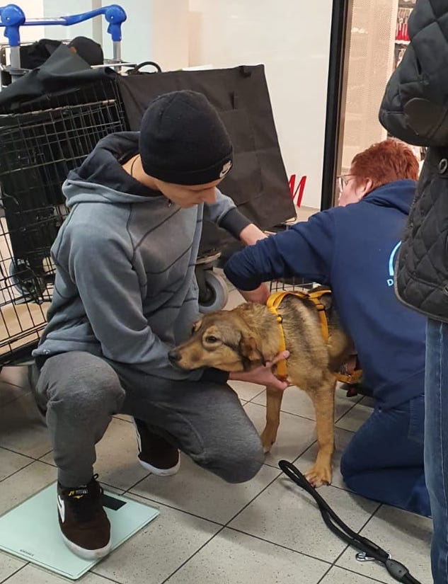 84303438 3313700891991252 5926821059050340352 o