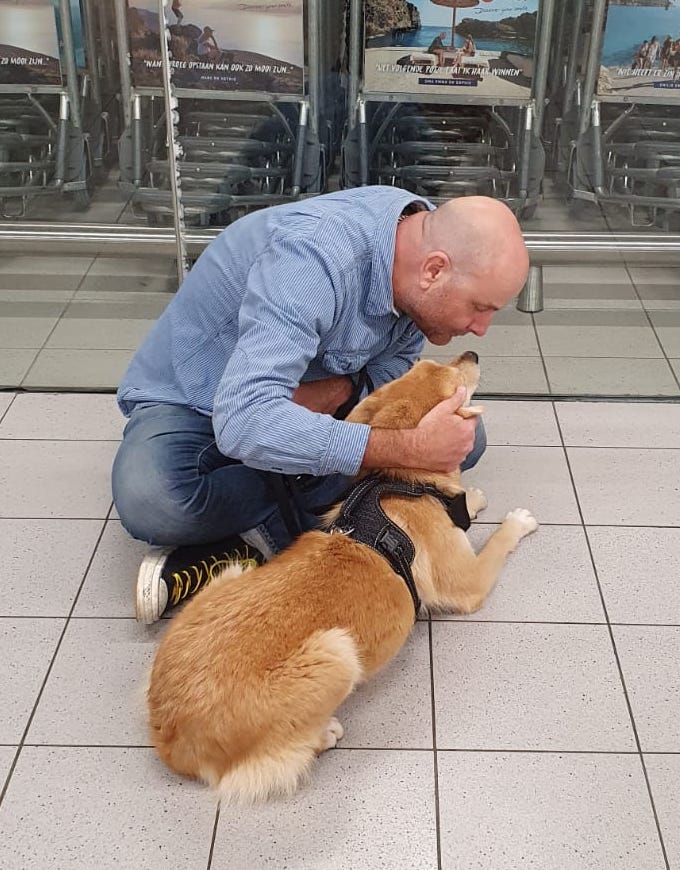 87459761 3313701621991179 6198635408771776512 o