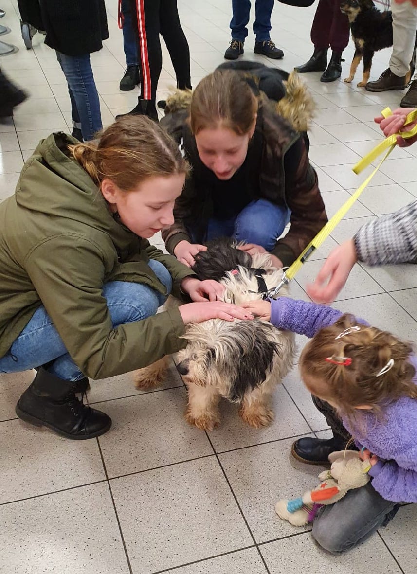 87740778 3313701638657844 8921351461313445888 o