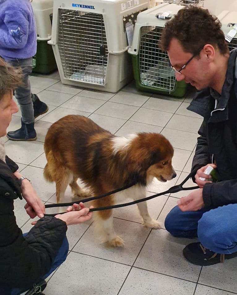 88143702 3313701021991239 5727953872698212352 o