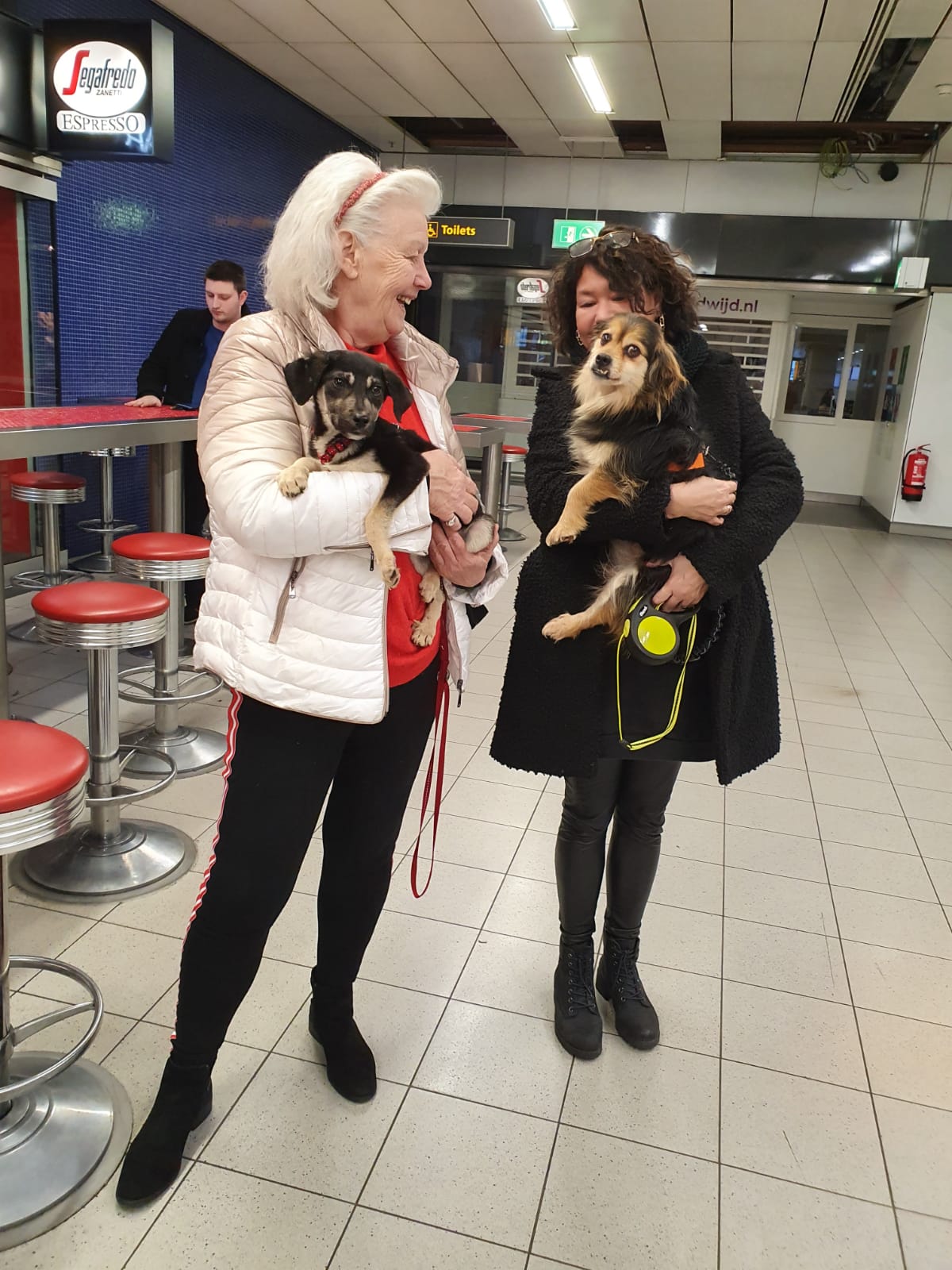 88198450 3313700921991249 1570001646962868224 o