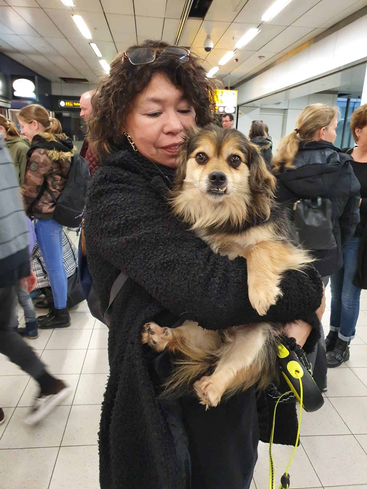 88207425 3313700581991283 7715445556515962880 o