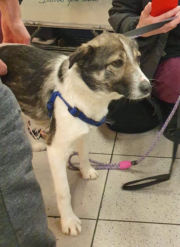 88236472 3313701271991214 2264010976938426368 o