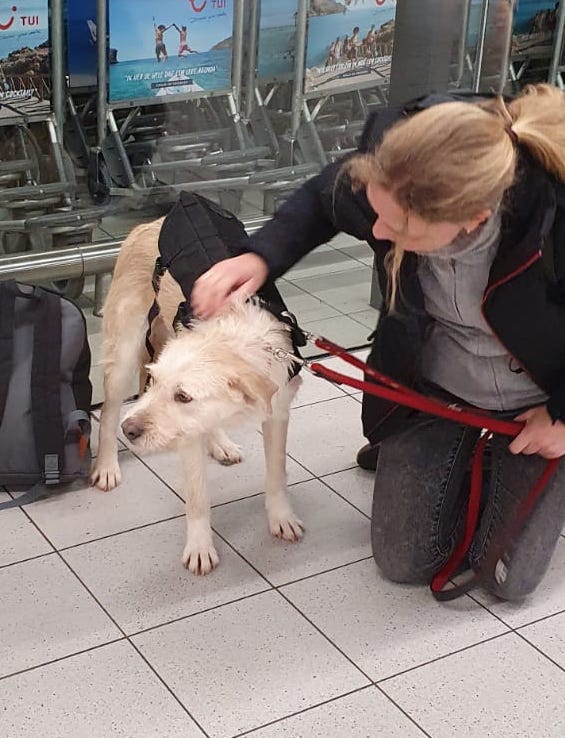 88240625 3313701585324516 2862662717158719488 o