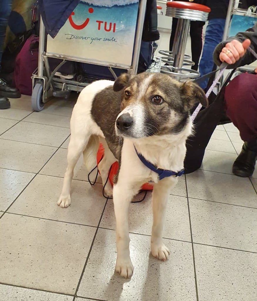 88241815 3313701378657870 8152557860132225024 o