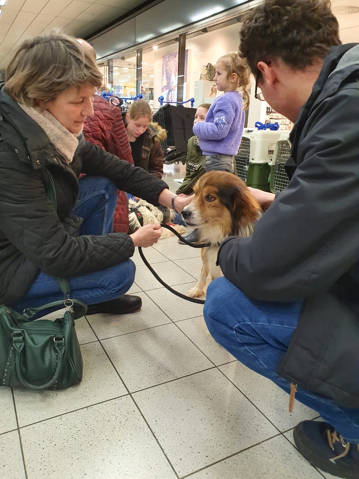 88261076 3313701031991238 7429077014327328768 o