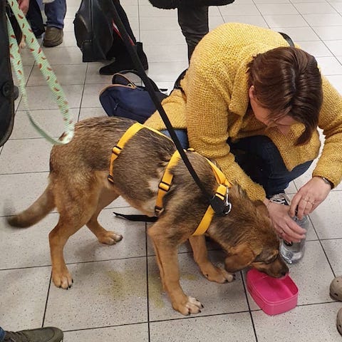 88276786 3313701505324524 43516363829936128 o