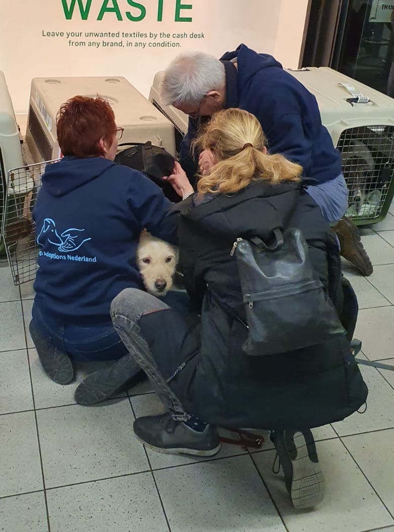 88363678 3313700578657950 3242917449141583872 o