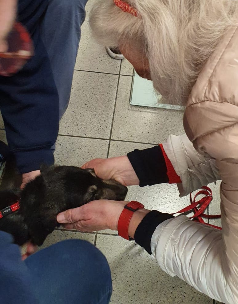 89762930 3313700568657951 7726026040945934336 o