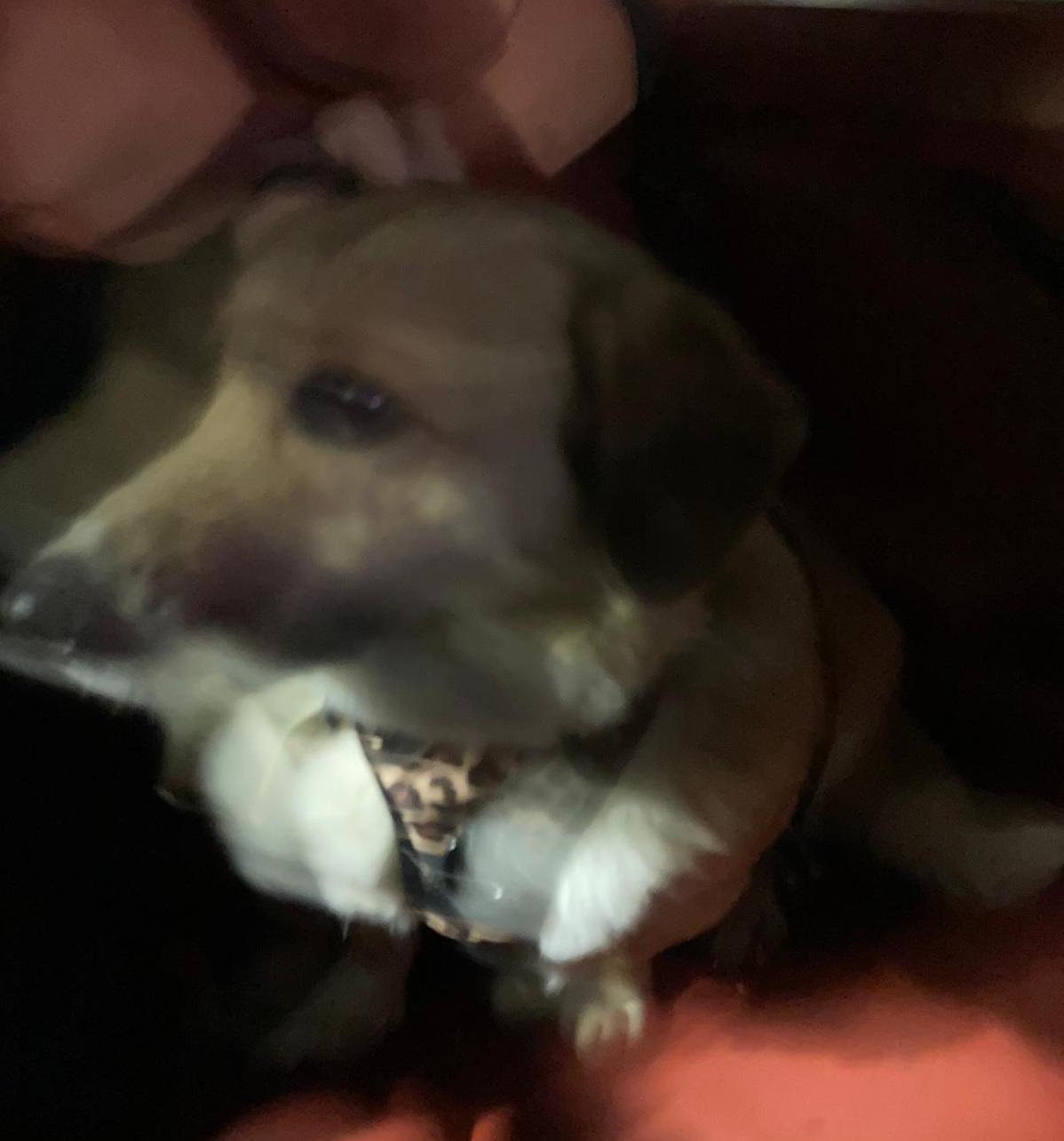 thumbnail 17b4398a 7d96 4459 abdd 8ed8a976840d